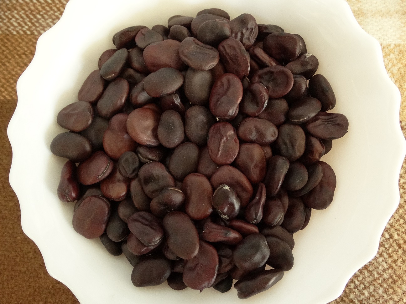 Bean - Broad bean Red Seeded - 150RG