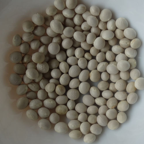 Pean bean (white) - 44NS