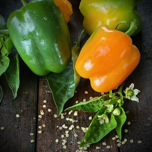 Sweet Orange - Capsicum - 240CMK