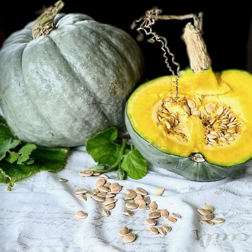 pumpkin - Crown - 226CMK