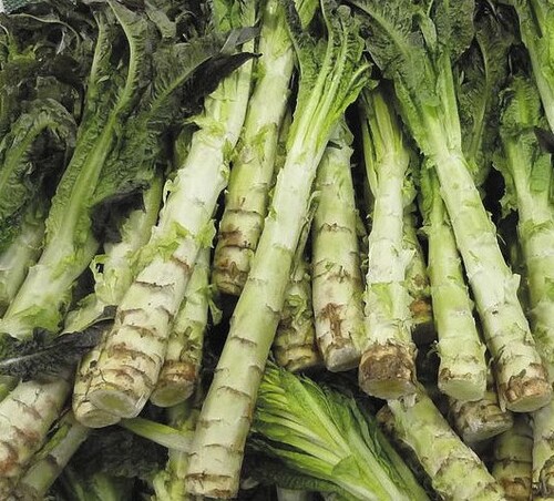 Celtuce - 130RW