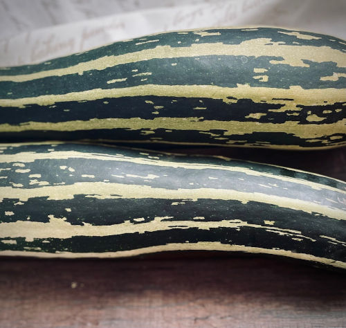 Striped Zucchini - CMK
