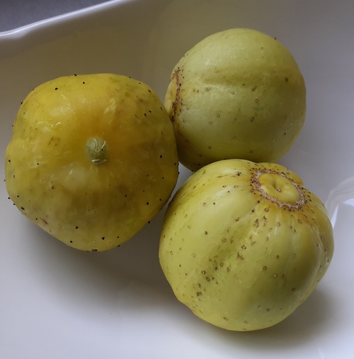 cucumber - apple - 301SS