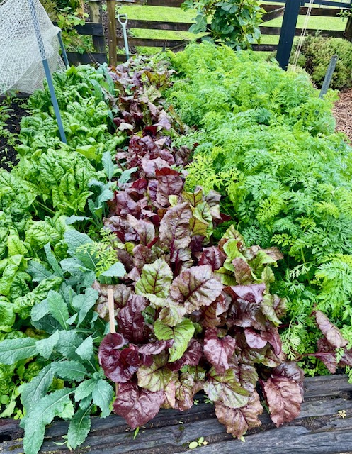 Our growers & suppliers