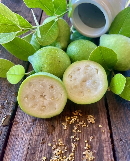 Feijoa - 335RW