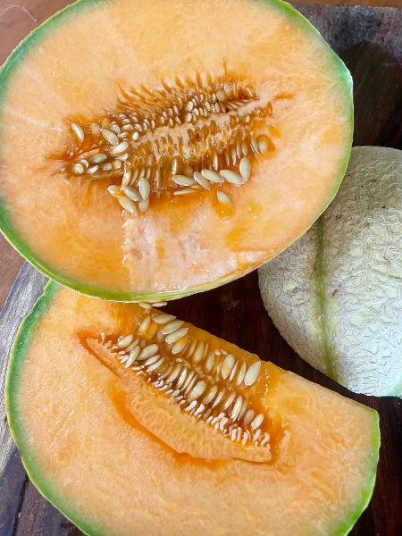 Melon - Cantelope - 394cmk